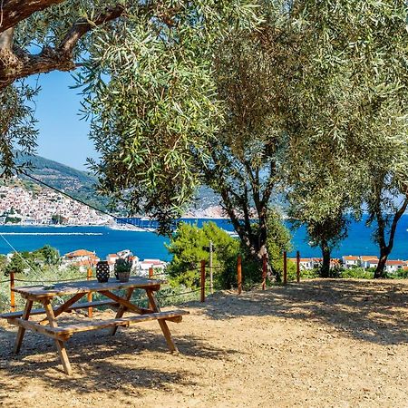 Olive Grove Apartment Skopelos Zewnętrze zdjęcie